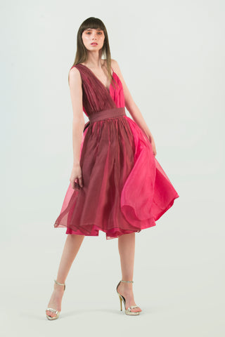 Hand Ruched Silk Dress - AGAATI