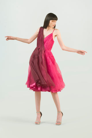 Hand Ruched Silk Dress - AGAATI