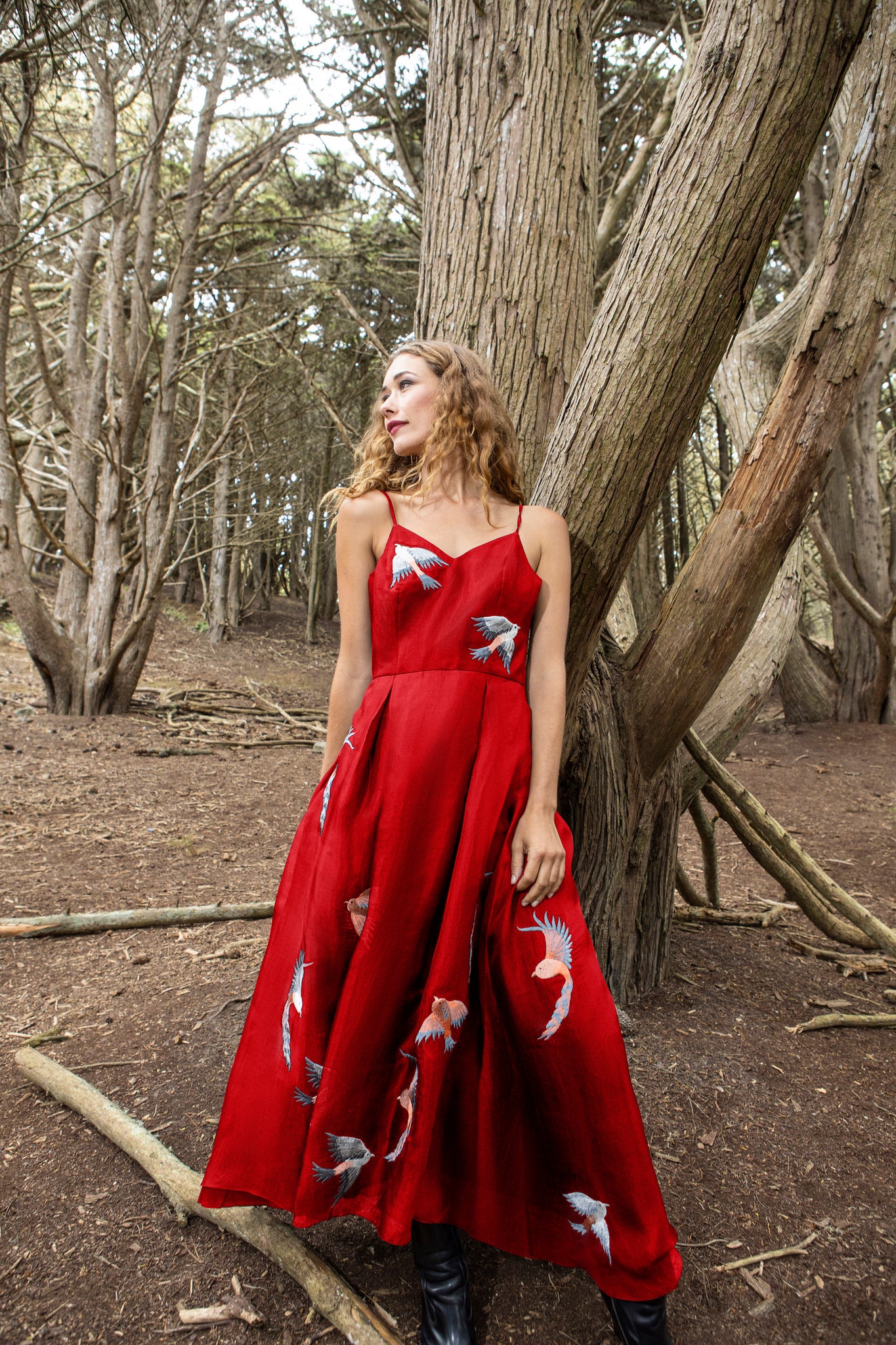 Red Embroidered Full Length Silk Dress