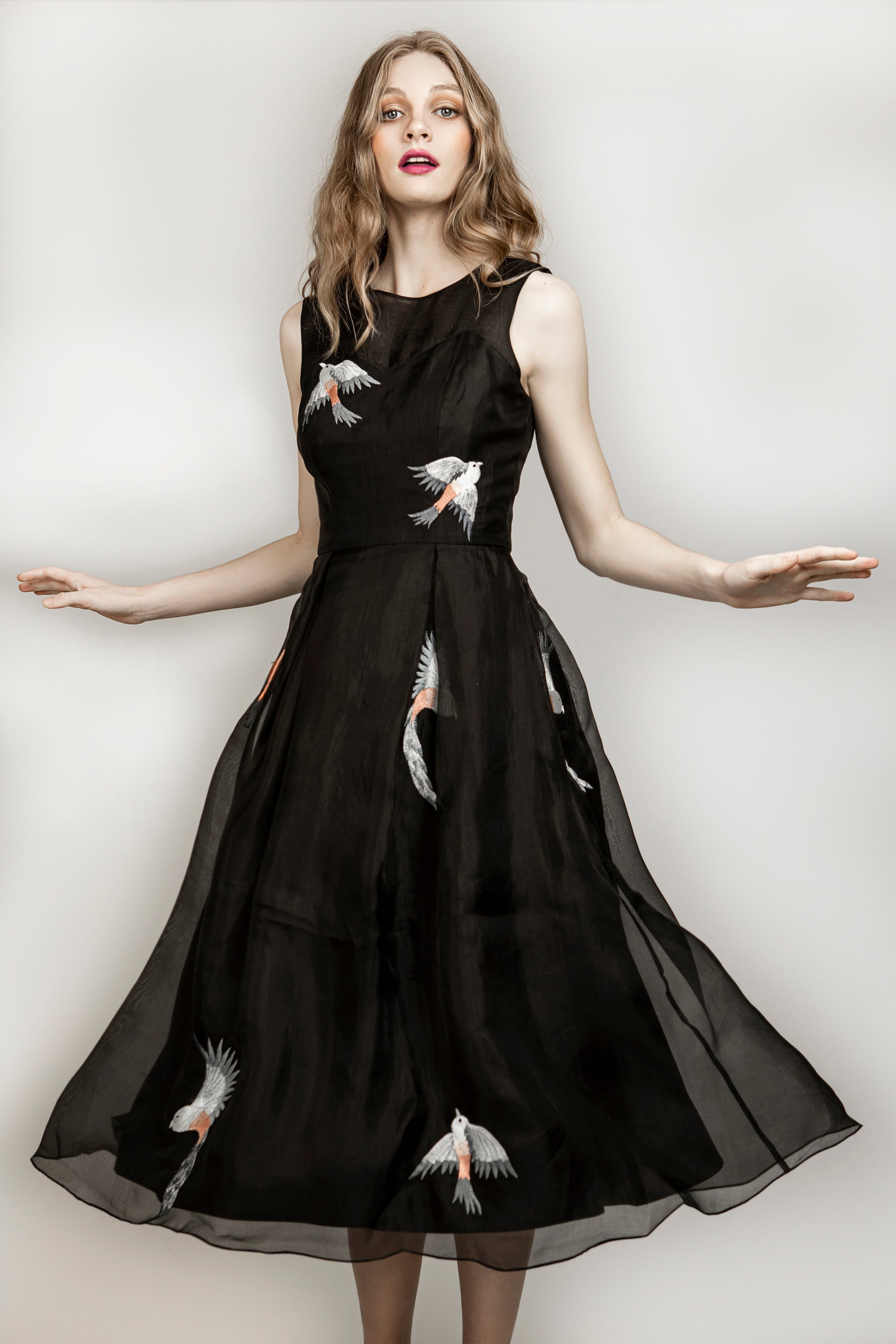 Black Midi Embroidered Silk Dress – AGAATI